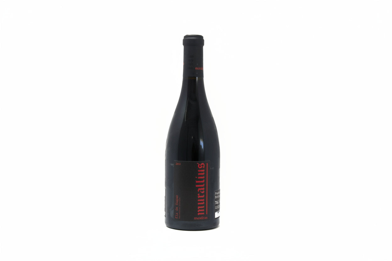 Murallius negre